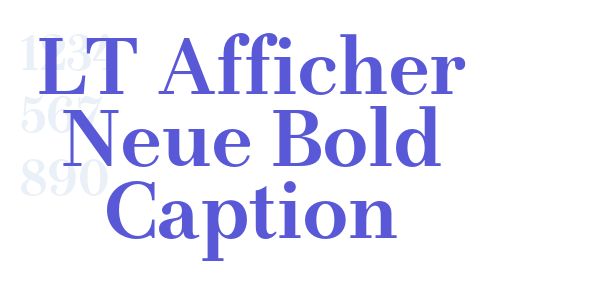 LT Afficher Neue Bold Caption font free