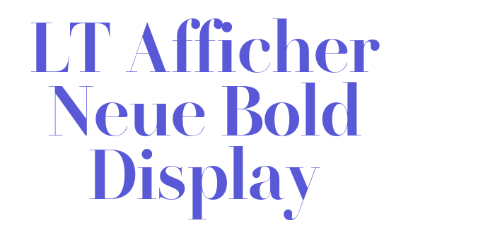 LT Afficher Neue Bold Display Font