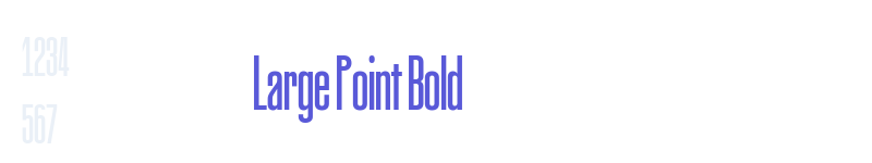 Large Point Bold-related font