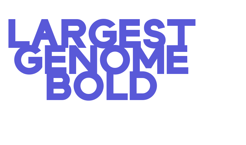 Largest Genome Bold Font