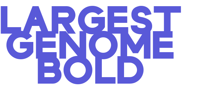 Largest Genome Bold Font Download