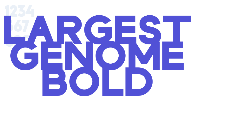 Largest Genome Bold-font-download