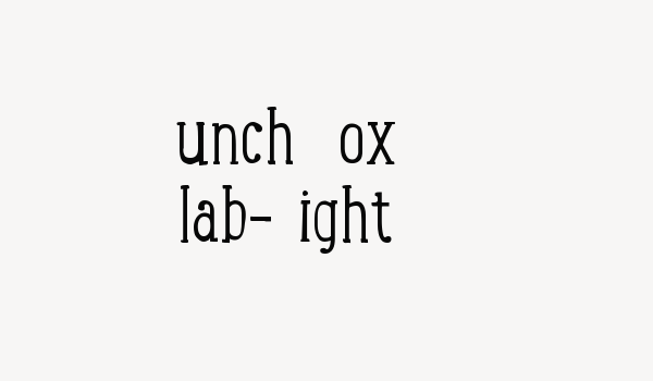 Lunch Box Slab-Light Font