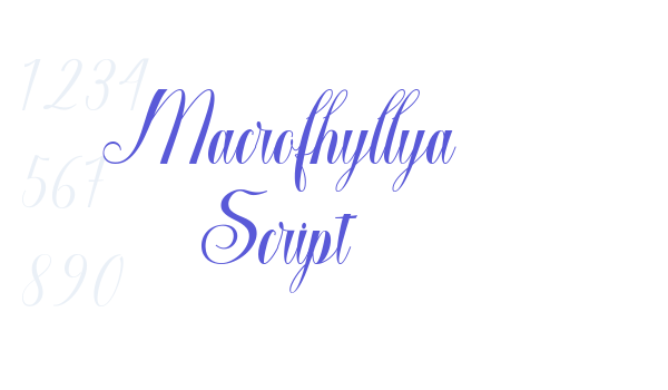 Macrofhyllya Script font free