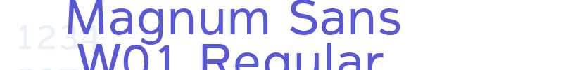 Magnum Sans W01 Regular font