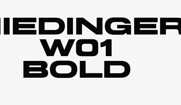 Miedinger W01 Bold Font