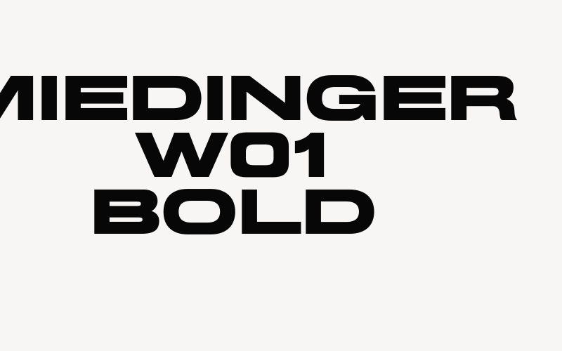 Miedinger W01 Bold Font