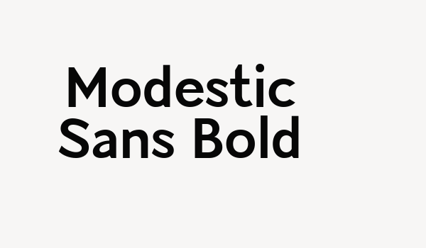 Modestic Sans Bold Font