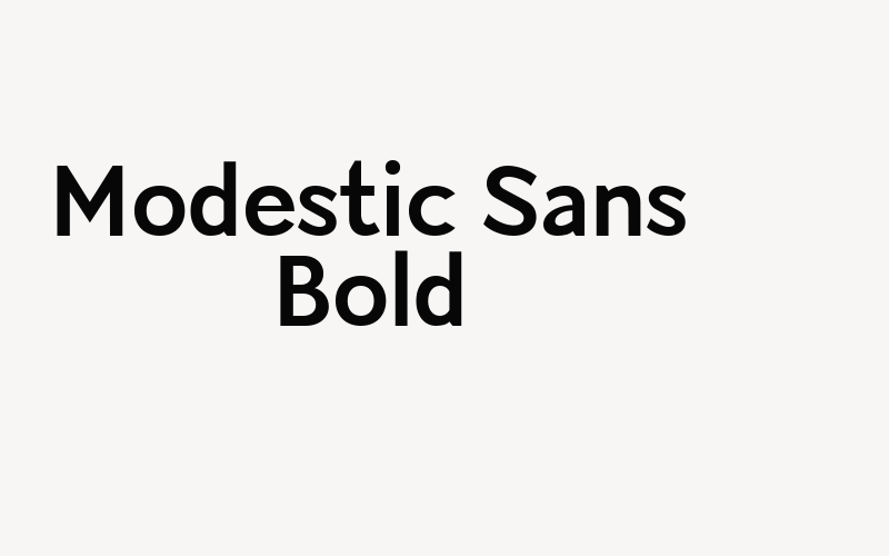 Modestic Sans Bold Font