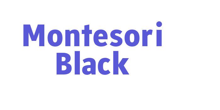 Montesori Black Font