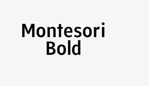 Montesori Bold Font