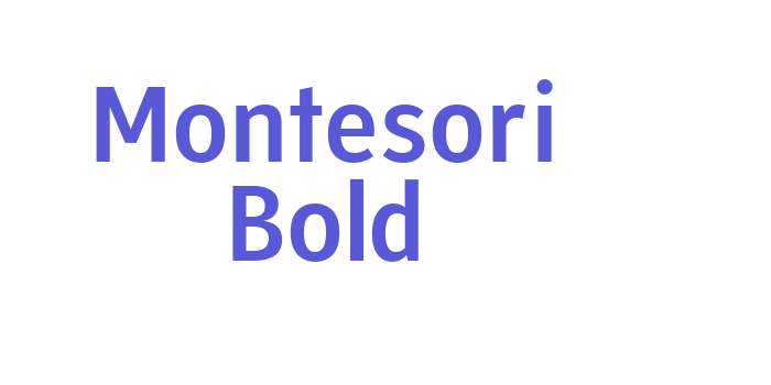 Montesori Bold Font