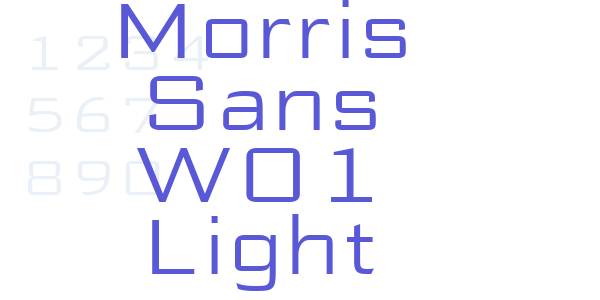 Morris Sans W01 Light font