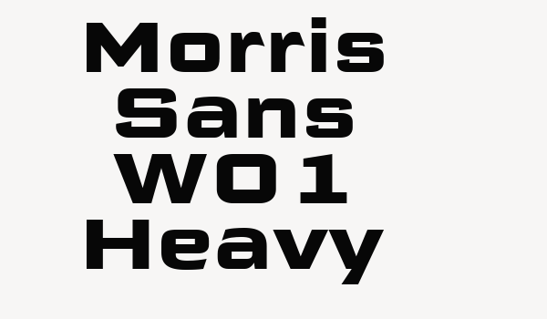 Morris Sans W01 Heavy Font