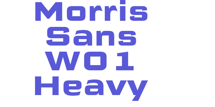 Morris Sans W01 Heavy Font Download