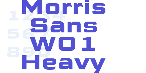 Morris Sans W01 Heavy-font-download