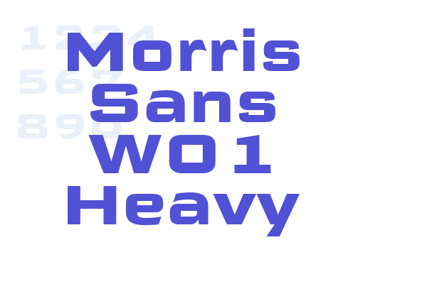 Morris Sans W01 Heavy