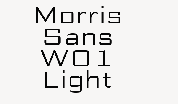 Morris Sans W01 Light Font