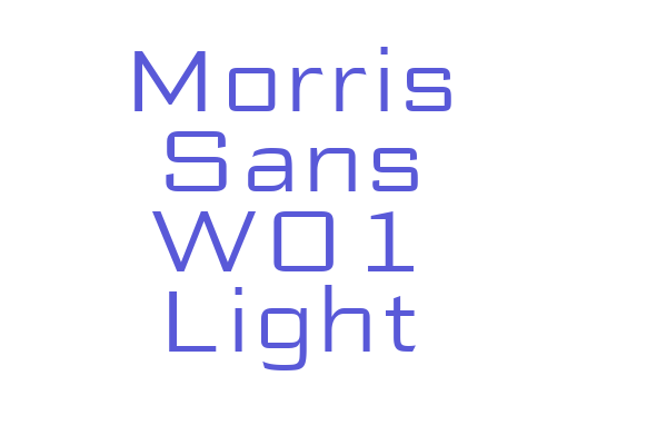 Morris Sans W01 Light Font