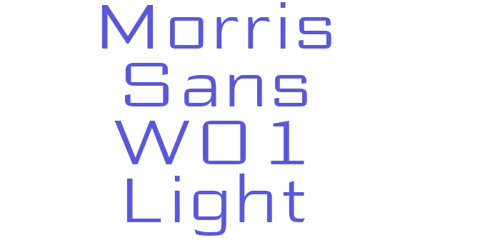 Morris Sans W01 Light Font Download