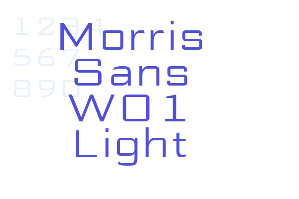 Morris Sans W01 Light