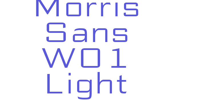 Morris Sans W01 Light Font