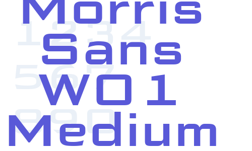 Morris Sans W01 Medium Font