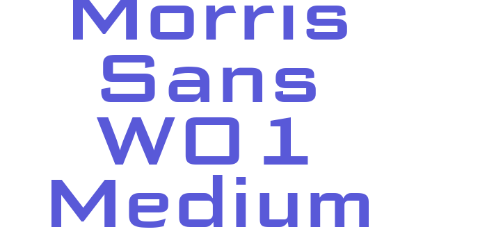 Morris Sans W01 Medium Font