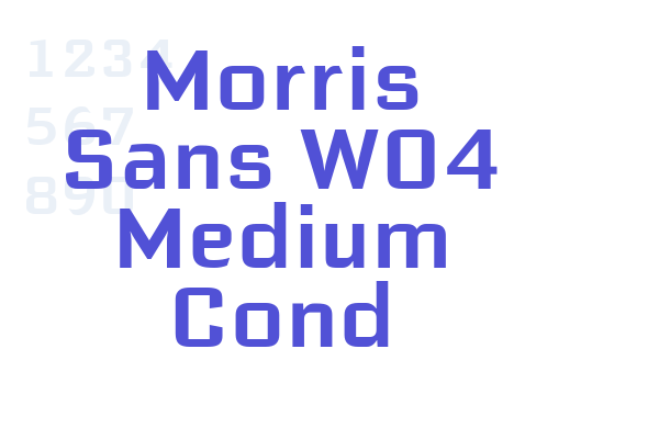 Morris Sans W04 Medium Cond