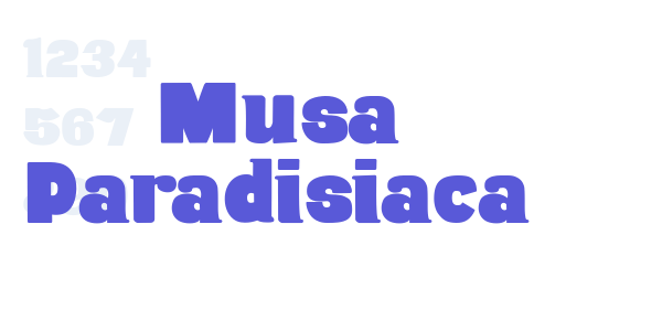 Musa Paradisiaca font free