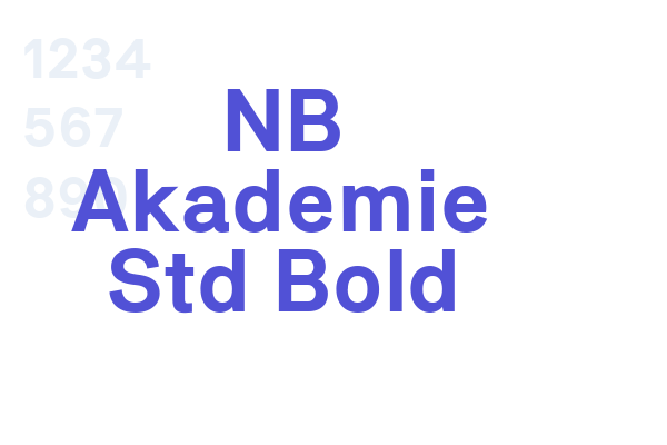 NB Akademie Std Bold