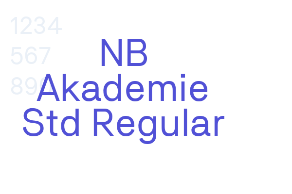 NB Akademie Std Regular