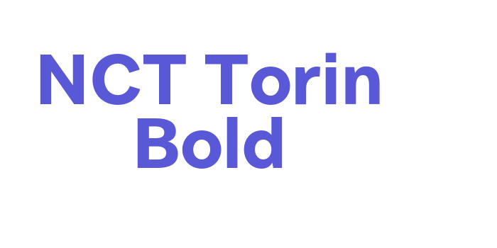 NCT Torin Bold Font