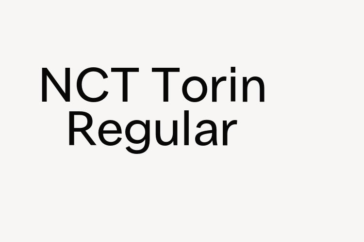 NCT Torin Regular font download