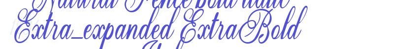 Natural Fence bold italic Extra-expanded ExtraBold Italic-font