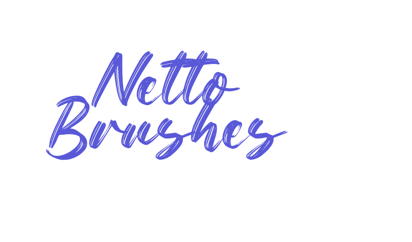 Netto Brushes Font