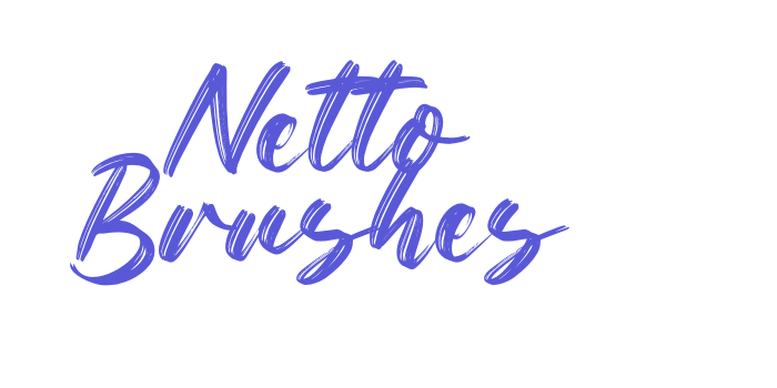 Netto Brushes Font Download