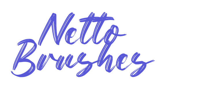 Netto Brushes Font