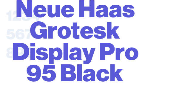 Neue Haas Grotesk Display Pro 95 Black font free