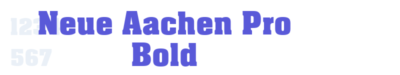 Neue Aachen Pro Bold-related font