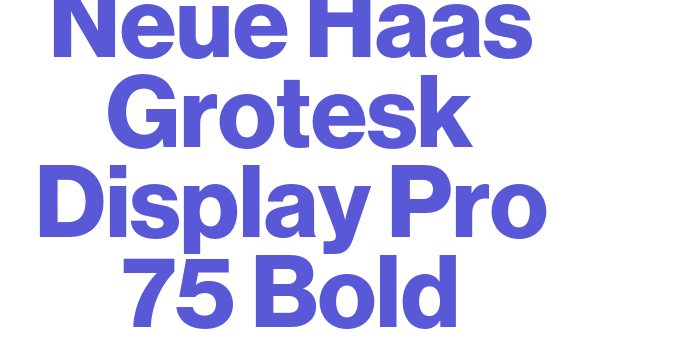 Neue Haas Grotesk Display Pro 75 Bold Font