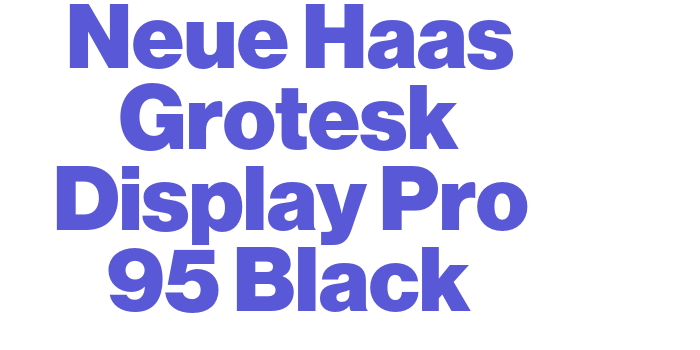 Neue Haas Grotesk Display Pro 95 Black Font Download