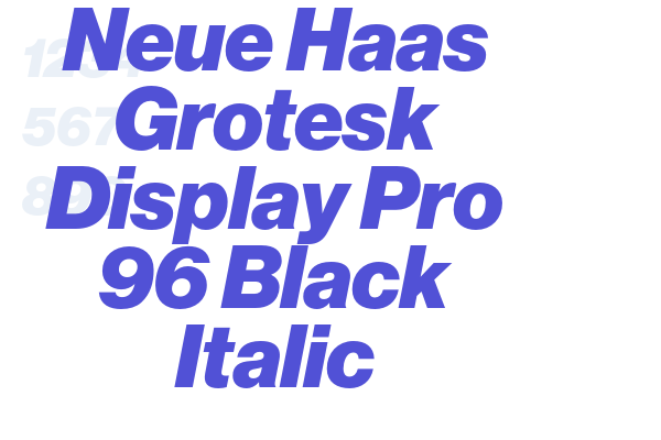 Neue Haas Grotesk Display Pro 96 Black Italic