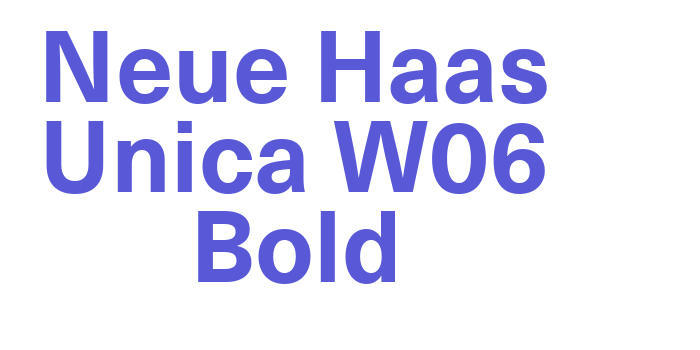 Neue Haas Unica W06 Bold Font