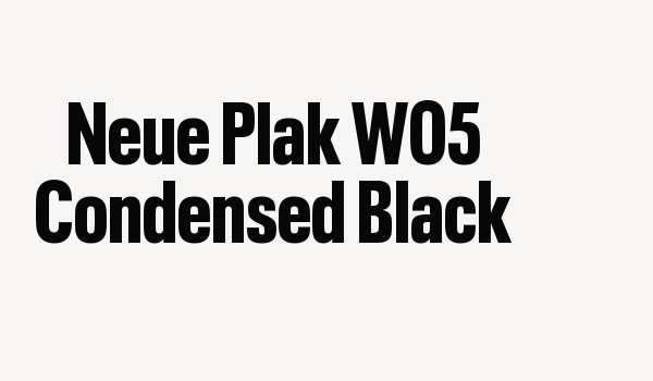 Neue Plak W05 Condensed Black Font