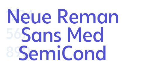 Neue Reman Sans Med SemiCond