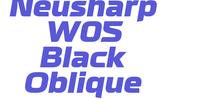 Neusharp W05 Black Oblique Font