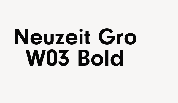 Neuzeit Gro W03 Bold Font