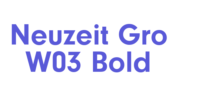 Neuzeit Gro W03 Bold Font