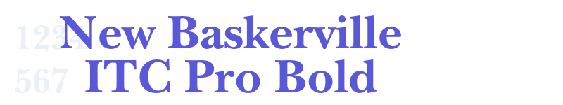 New Baskerville ITC Pro Bold-related font